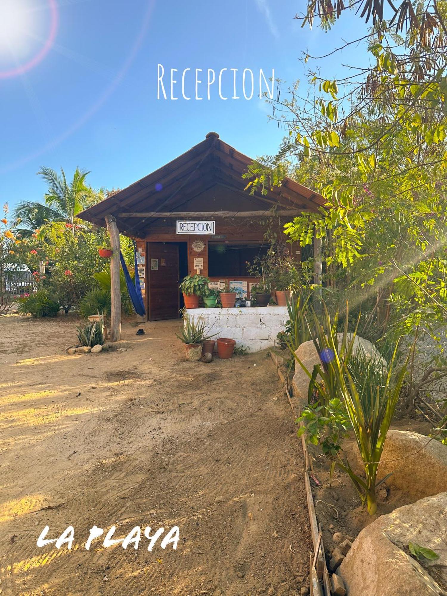 Hotel La Playa Масунте Екстериор снимка