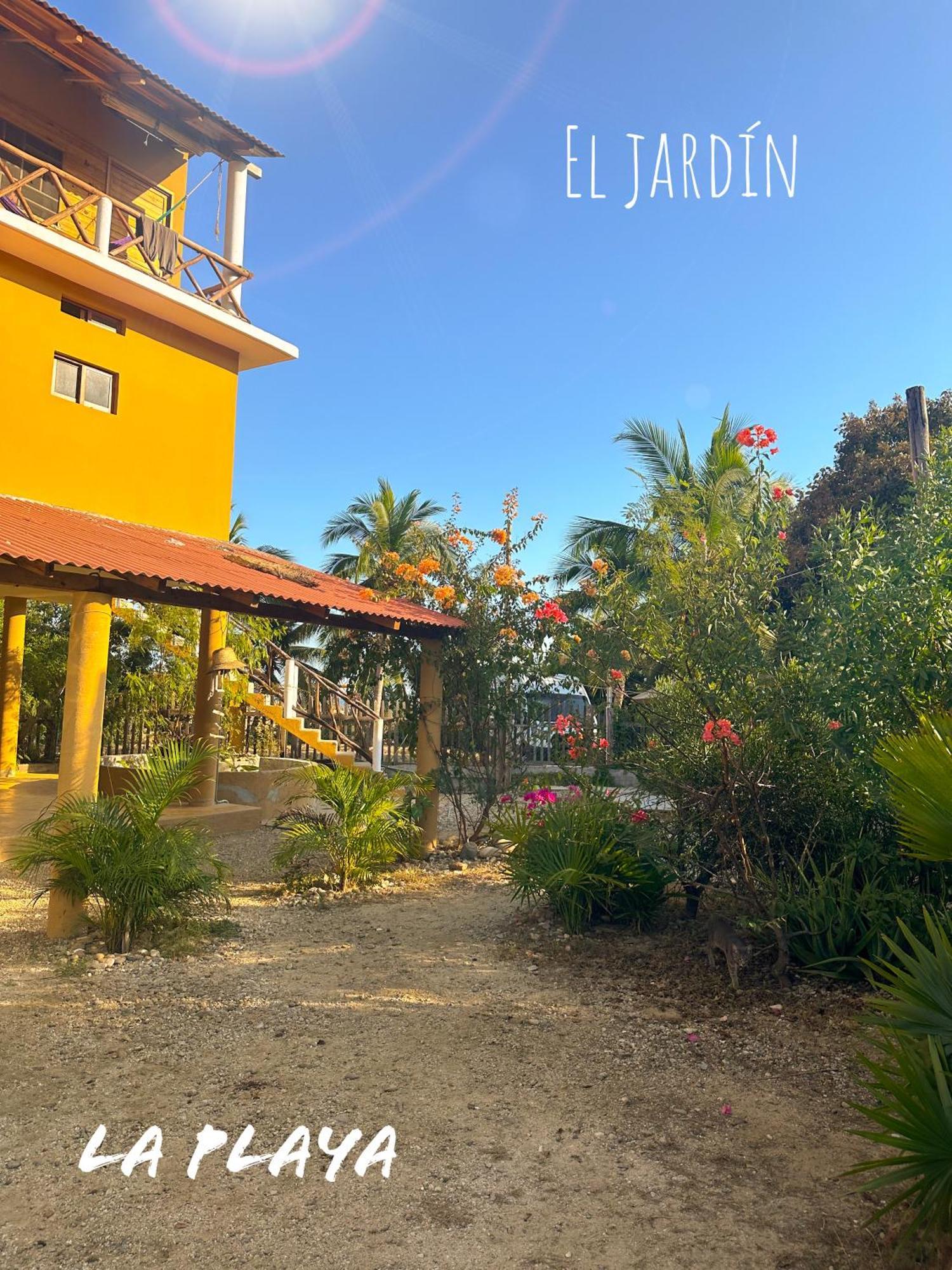 Hotel La Playa Масунте Екстериор снимка