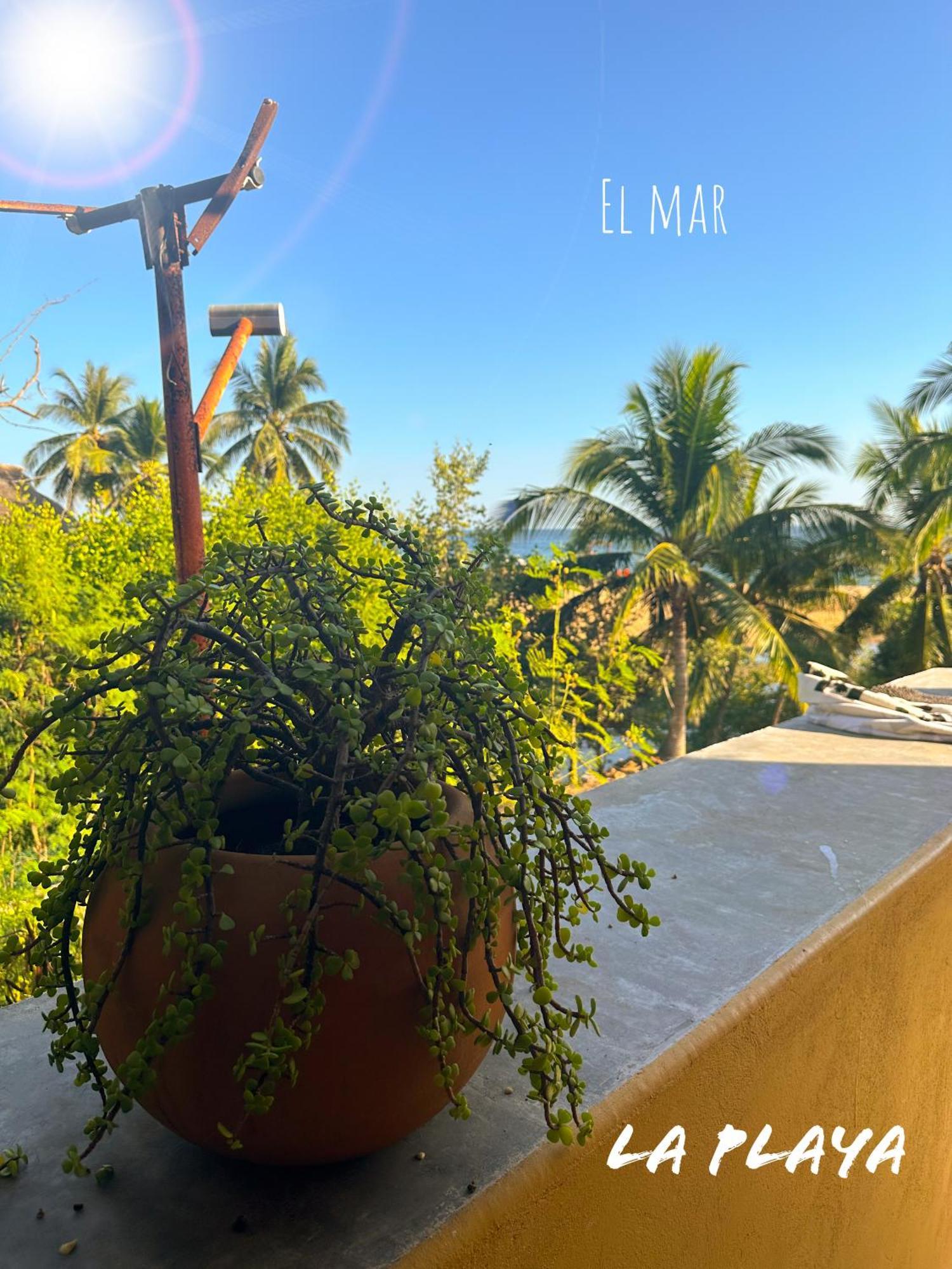 Hotel La Playa Масунте Екстериор снимка