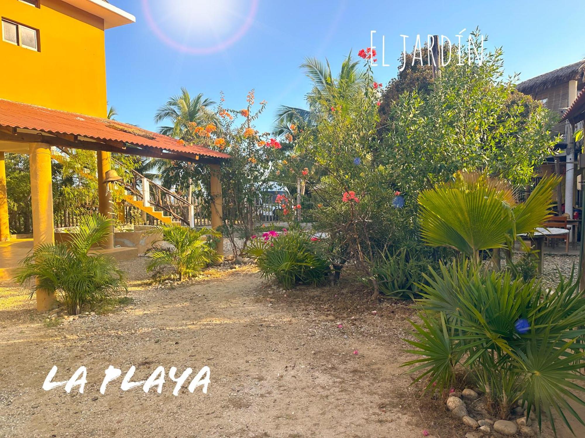 Hotel La Playa Масунте Екстериор снимка